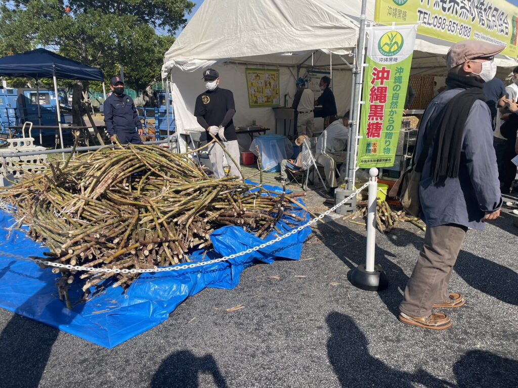 沖縄市　多肉植物　2023年花と食のフェスティバル　B型事業所